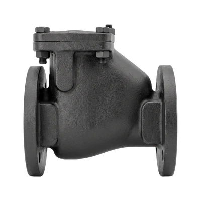 Swing Check (Non-Return) Valve