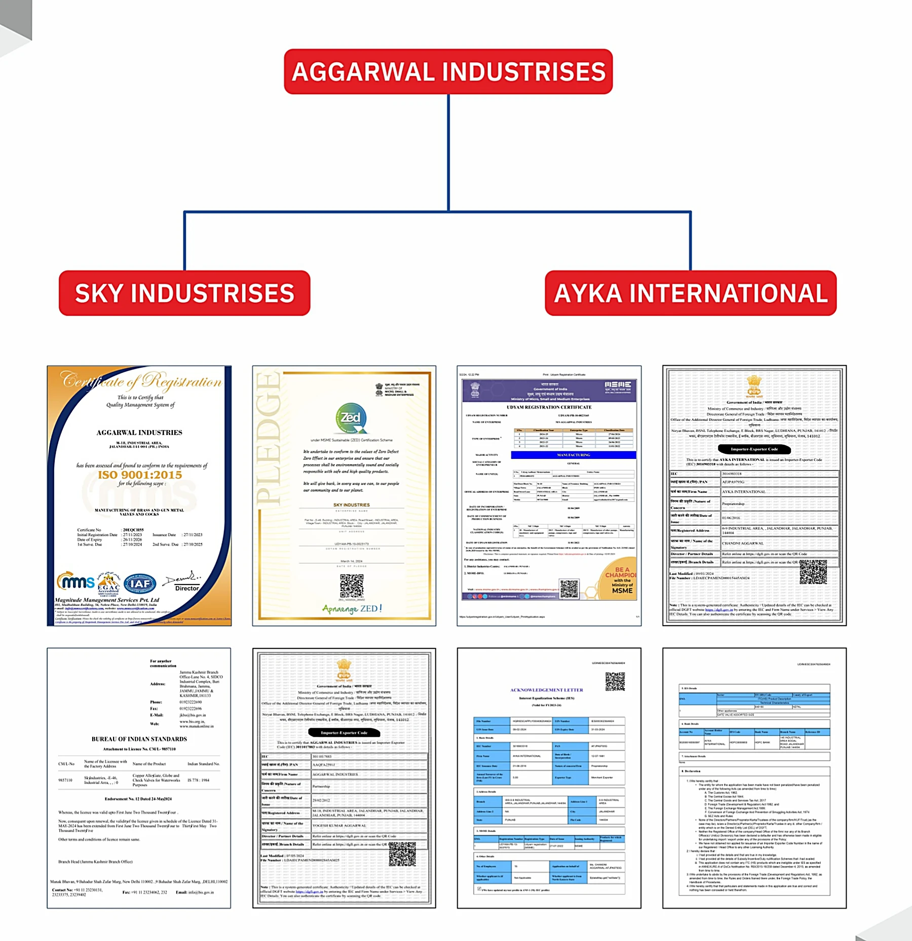 Shree Valves certifications: ISO 9001:2015, BIS licence, Udyam registration and ZED pledge