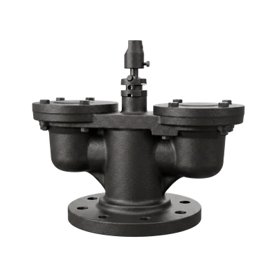 Double Acting Air Valve